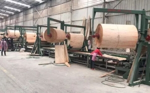 Automatic Veneer Plywood Lay-up Machine Manufacturer Supplier Wholesale Exporter Importer Buyer Trader Retailer in Zhengzhou Beijing China
