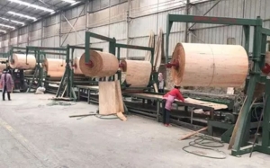 Manufacturers Exporters and Wholesale Suppliers of Automatic Veneer Plywood Lay-up Machine Zhengzhou Beijing Automatic Veneer Plywood Lay-up Machine