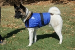 Manufacturers Exporters and Wholesale Suppliers of Pet Products (Dog Coat ) Secunderabad Andhra Pradesh