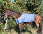 Manufacturers Exporters and Wholesale Suppliers of Horse Blanket Secunderabad Andhra Pradesh