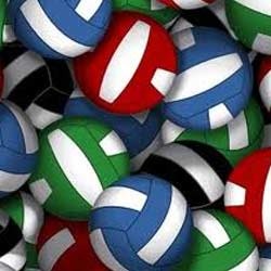 Volleyballs Manufacturer Supplier Wholesale Exporter Importer Buyer Trader Retailer in Chandigarh Punjab India