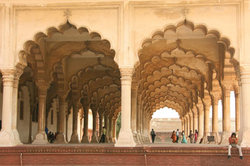Golden Triangle Option Ii