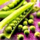 Manufacturers Exporters and Wholesale Suppliers of Frozen Green Peas 01 Ambala Haryana