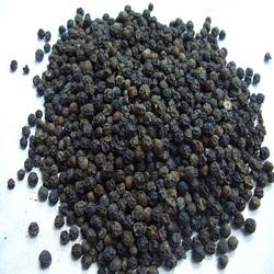 Manufacturers Exporters and Wholesale Suppliers of Black Pepper Pathanamthitta Kerala