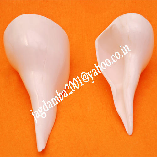 Manufacturers Exporters and Wholesale Suppliers of Pooja of Shankha Agra Uttar Pradesh