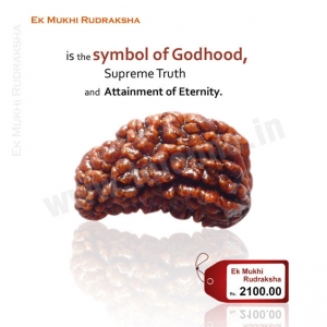 Manufacturers Exporters and Wholesale Suppliers of 1 Mukhi Rudraksha Delhi Delhi