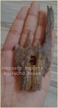 Amarnath Exports