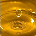 Manufacturers Exporters and Wholesale Suppliers of Mysore Sandalwood Oil Kannauj Uttar Pradesh