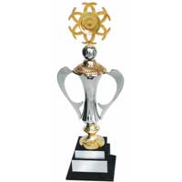Manufacturers Exporters and Wholesale Suppliers of Brass Sports Trophy (S 254) Moradabad Uttar Pradesh