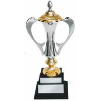 Manufacturers Exporters and Wholesale Suppliers of Brass Sports Trophy (S 255) Moradabad Uttar Pradesh