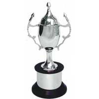 Manufacturers Exporters and Wholesale Suppliers of Brass Sports Trophy (S 259) Moradabad Uttar Pradesh