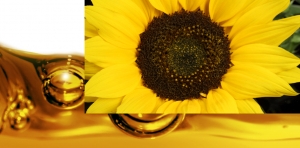 Crude sunflower oil Manufacturer Supplier Wholesale Exporter Importer Buyer Trader Retailer in Rostov-on-Don  Russian Federation