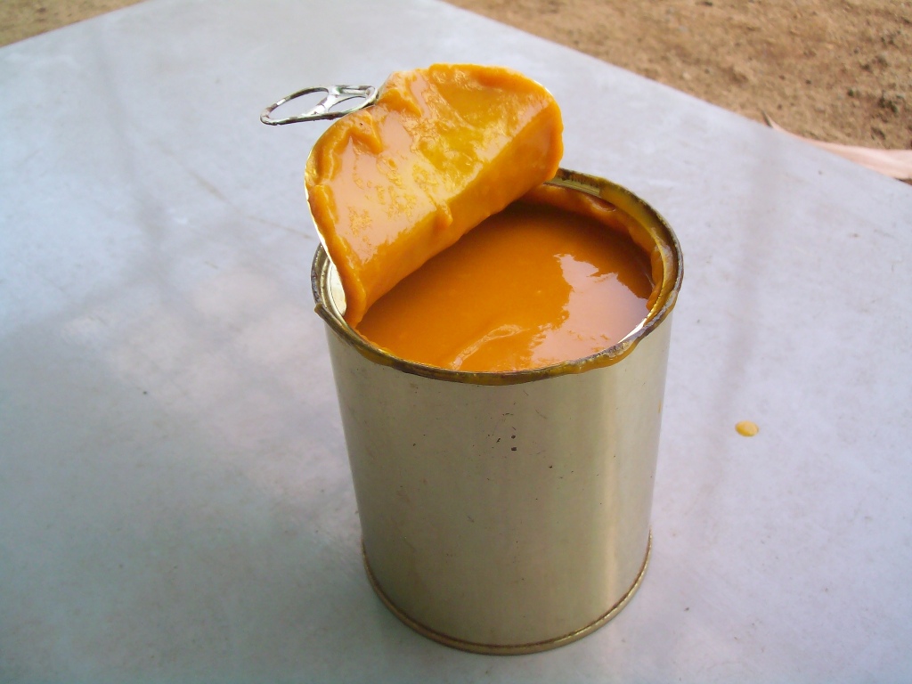 mango pulp chocolate