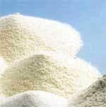 Manufacturers Exporters and Wholesale Suppliers of Proteins Milk Nadiad Gujarat