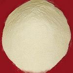 Manufacturers Exporters and Wholesale Suppliers of Casein Powder Nadiad Gujarat