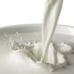 Milk Casein Protein Manufacturer Supplier Wholesale Exporter Importer Buyer Trader Retailer in Nadiad Gujarat India