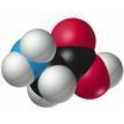 Manufacturers Exporters and Wholesale Suppliers of Casein for Pharmaceutical Industries Nadiad Gujarat