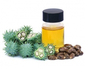 Castor Oil Manufacturer Supplier Wholesale Exporter Importer Buyer Trader Retailer in Coimbatore Tamil Nadu India