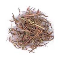 Manufacturers Exporters and Wholesale Suppliers of Rubia Cordifolia Roots Nagaon Assam