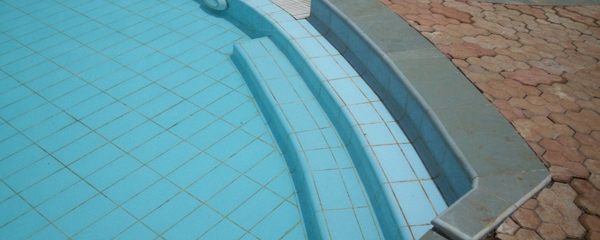 Endura Swimming Pool Tiles Manufacturer Supplier Wholesale Exporter Importer Buyer Trader Retailer in Mumbai Maharashtra India