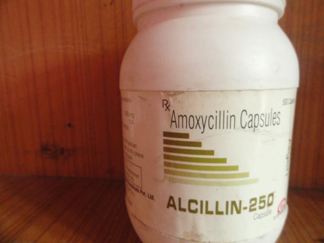 Manufacturers Exporters and Wholesale Suppliers of Amoxycillin Capsules 250 mg and 500 mg New Delhi Delhi