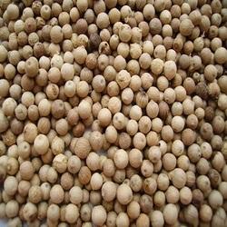 Manufacturers Exporters and Wholesale Suppliers of White Pepper Pathanamthitta Kerala