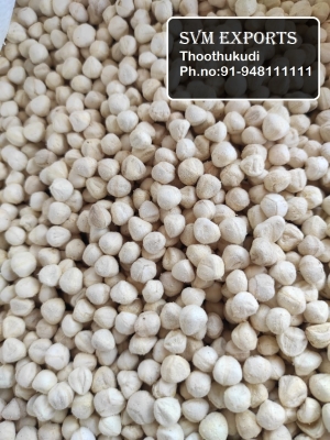 Manufacturers Exporters and Wholesale Suppliers of Moringa kernel Tuticorin Tamil Nadu