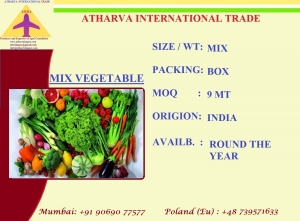 Green chillies Manufacturer Supplier Wholesale Exporter Importer Buyer Trader Retailer in Nahik Maharashtra India