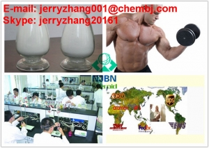 Manufacturers Exporters and Wholesale Suppliers of Oxandrolone Nanjing 