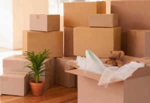 24 Hours Packers & Movers