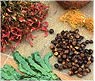 Manufacturers Exporters and Wholesale Suppliers of SPICES Gurgaon Haryana