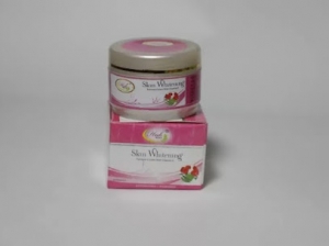 Manufacturers Exporters and Wholesale Suppliers of Skin Whitening Fairness Cream New Delhi Delhi