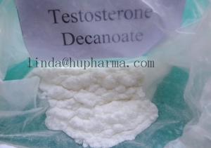 Manufacturers Exporters and Wholesale Suppliers of Hupharma Testosterone Decanoate injectable steroids Powder shenzhen 