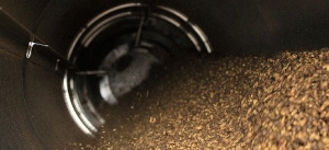 Biomass Fuel Manufacturer Supplier Wholesale Exporter Importer Buyer Trader Retailer in Mojokerto Other Indonesia