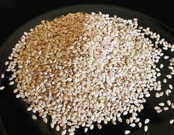 Manufacturers Exporters and Wholesale Suppliers of Sesame Seeds Thane Maharashtra