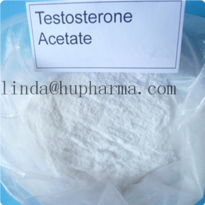 Manufacturers Exporters and Wholesale Suppliers of Hupharma Testosterone Acetate injectable steroids Powder shenzhen 