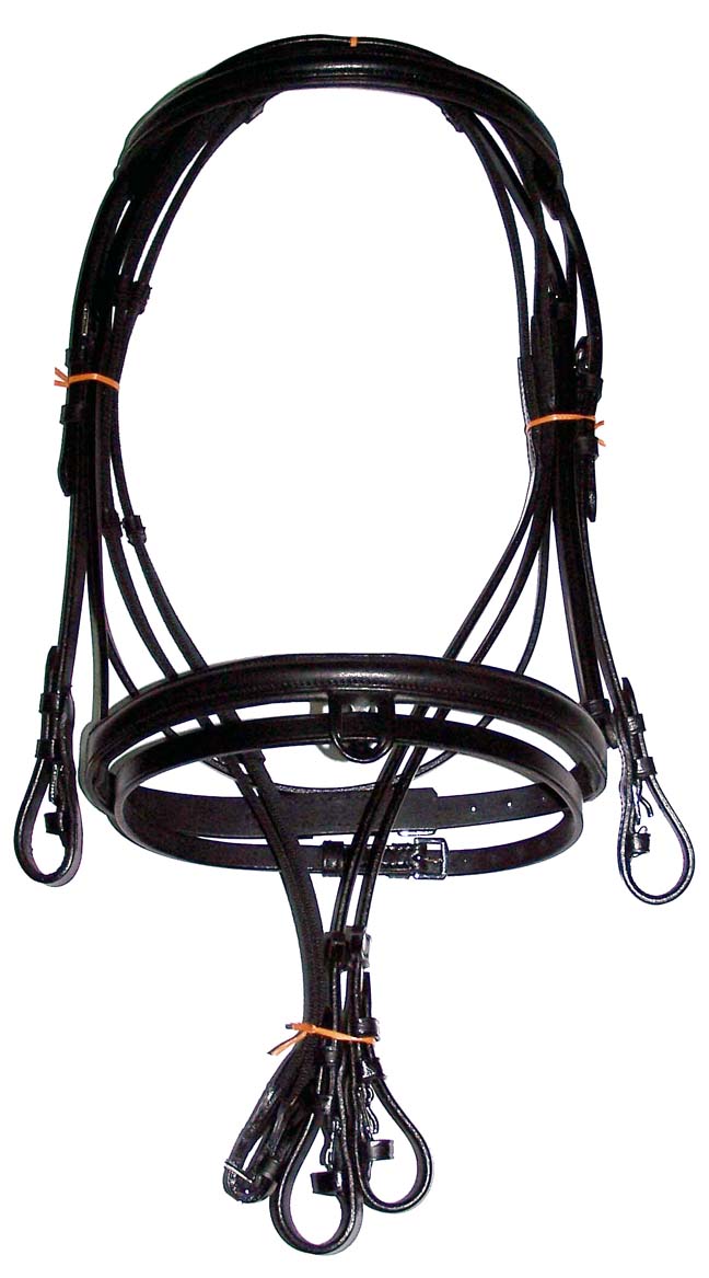 SADDLES AND TACK Manufacturer Supplier Wholesale Exporter Importer Buyer Trader Retailer in Kanpur Uttar Pradesh India