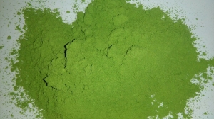 Manufacturers Exporters and Wholesale Suppliers of Moringa leaves Powder Tuticorin Tamil Nadu