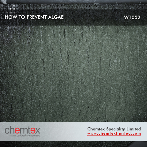 Manufacturers Exporters and Wholesale Suppliers of How to Prevent Algae Kolkata West Bengal