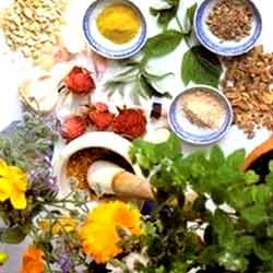 Ayurvedic Medicine Manufacturer Supplier Wholesale Exporter Importer Buyer Trader Retailer in Jaipur Rajasthan India