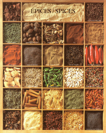 Manufacturers Exporters and Wholesale Suppliers of Spices New Delhi Delhi