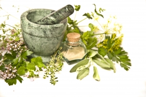 Herbs Manufacturer Supplier Wholesale Exporter Importer Buyer Trader Retailer in African Other 