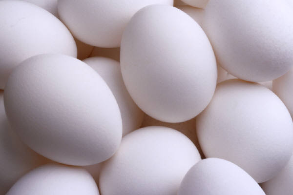 Manufacturers Exporters and Wholesale Suppliers of Eggs, Meat and Chicken New Delhi Delhi