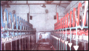 Hydrogen Gas Plant