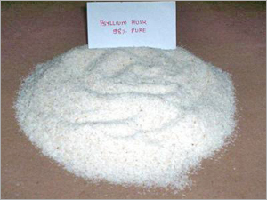 Psyllium Husk 01 Manufacturer Supplier Wholesale Exporter Importer Buyer Trader Retailer in Neemuch Madhya Pradesh India