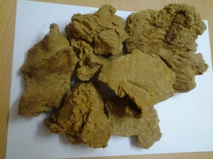 Service Provider of ORGANIC MORINGA seed cake Tuticorin Tamil Nadu 