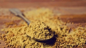 Brown Mustard Powder Manufacturer Supplier Wholesale Exporter Importer Buyer Trader Retailer in Guwahati Assam India