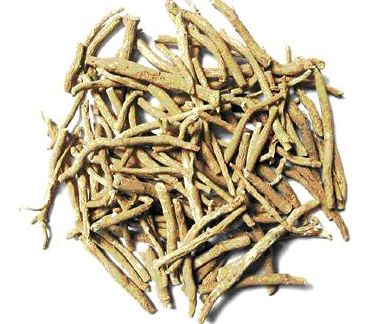 Manufacturers Exporters and Wholesale Suppliers of Ashwagandha Delhi  Delhi