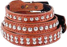 Manufacturers Exporters and Wholesale Suppliers of Bridle leather Dog Collar with clincher Kanpur Uttar Pradesh