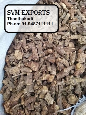 Manufacturers Exporters and Wholesale Suppliers of SARSAPARILLA ROOT Tuticorin Tamil Nadu